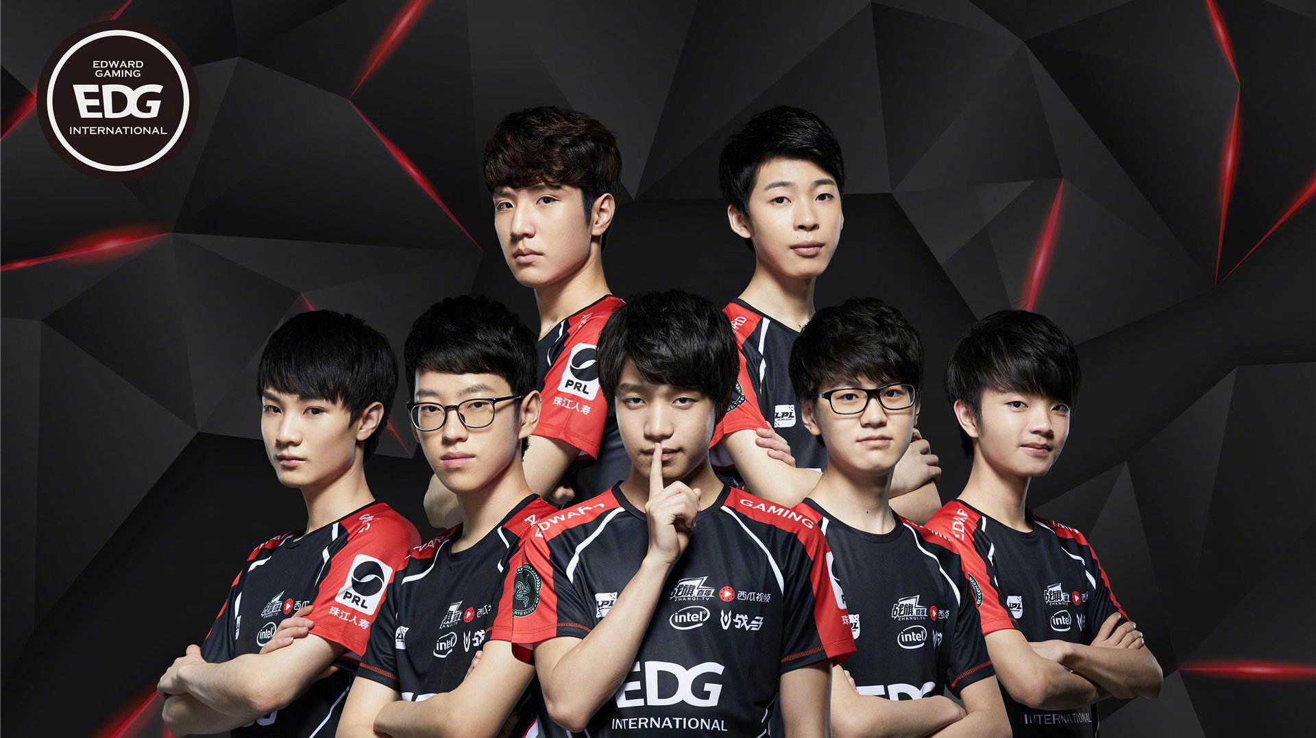 这一决定不 这一决定不